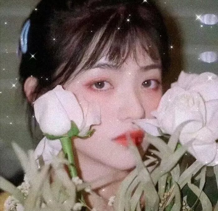 艳贼历险记